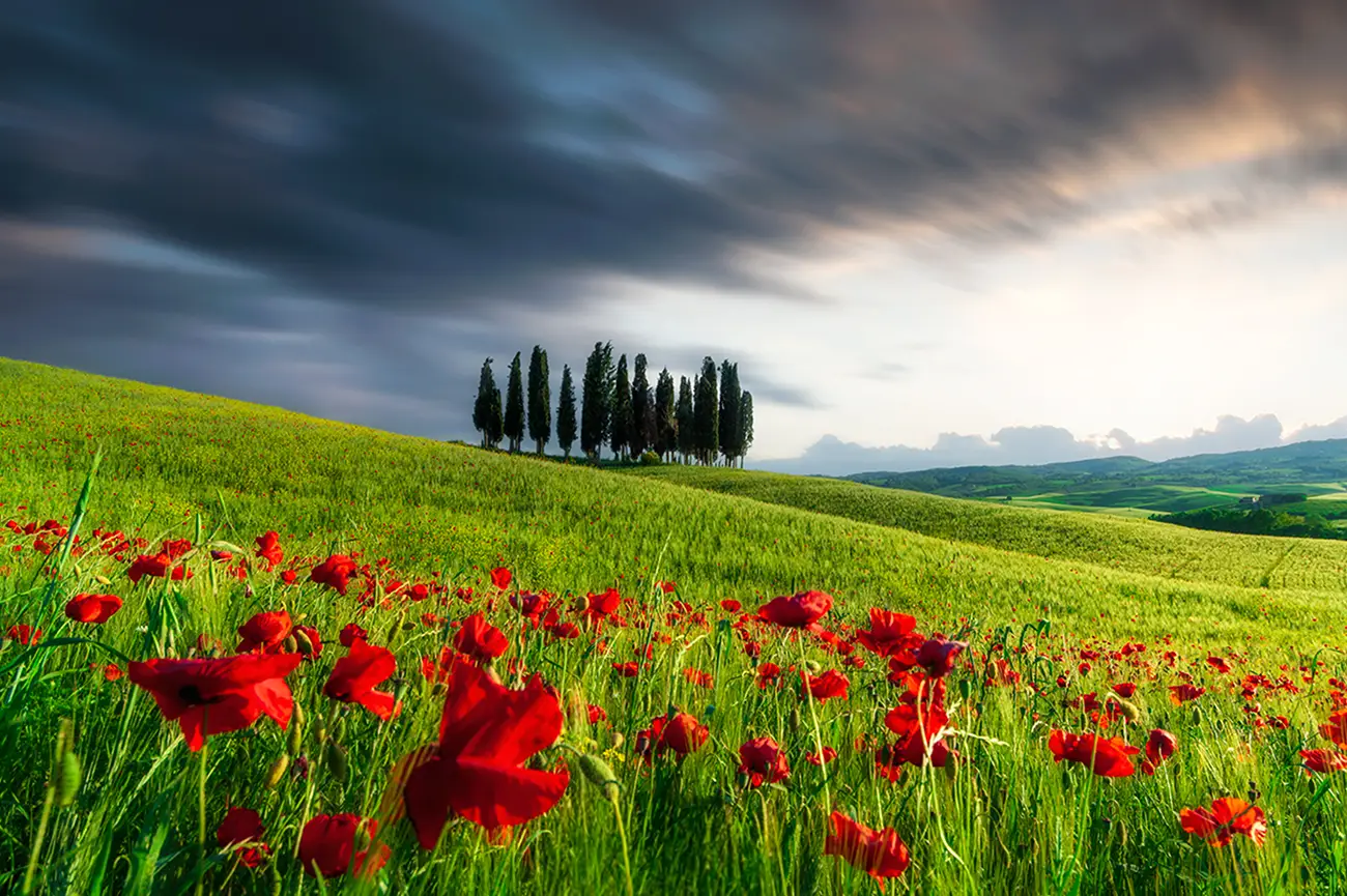 Tour fotografico privato in Toscana tra Val d’Orcia e colline toscane