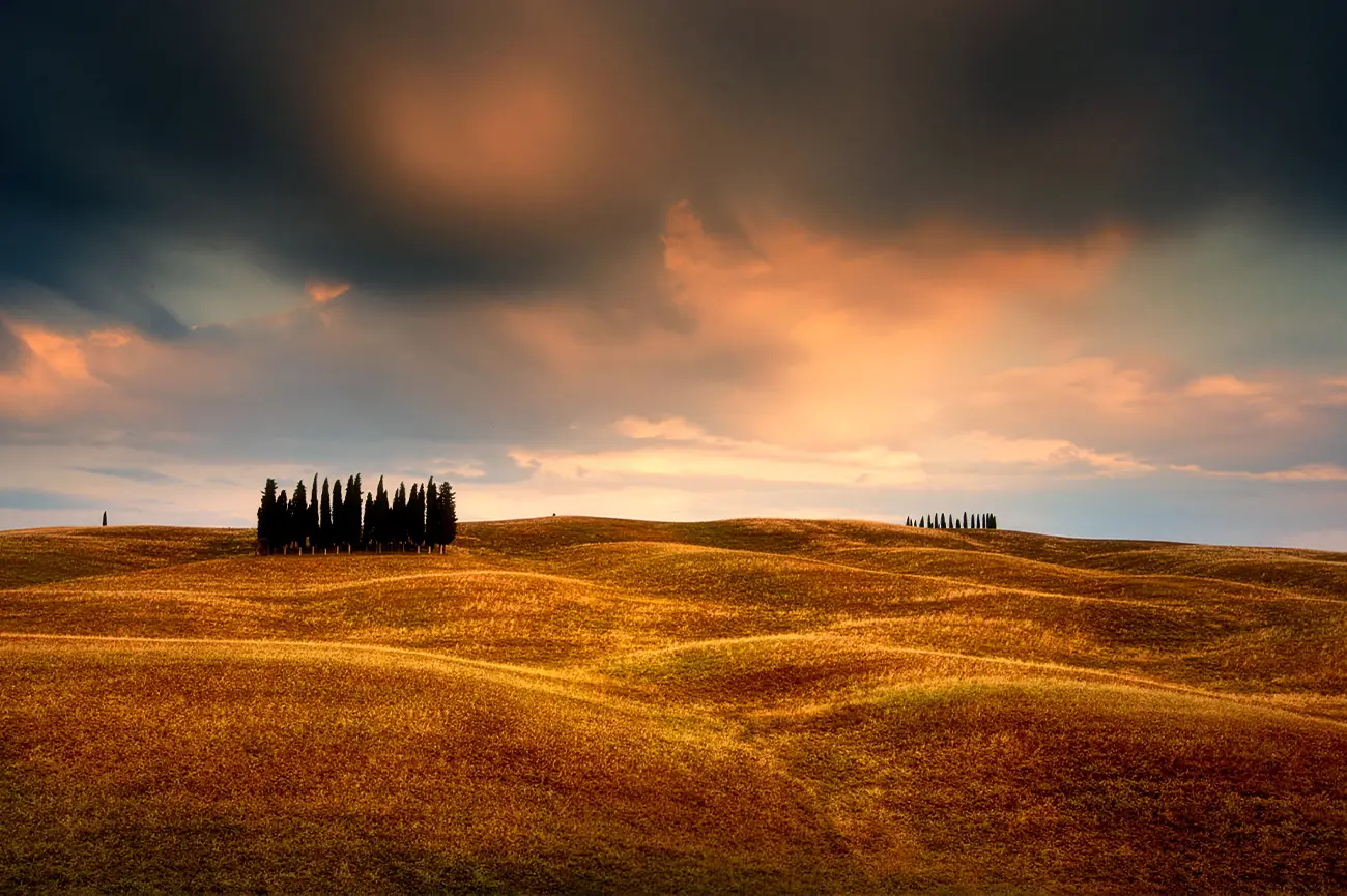 Tour fotografico privato per fotografare i cipressi della Val d'Orcia