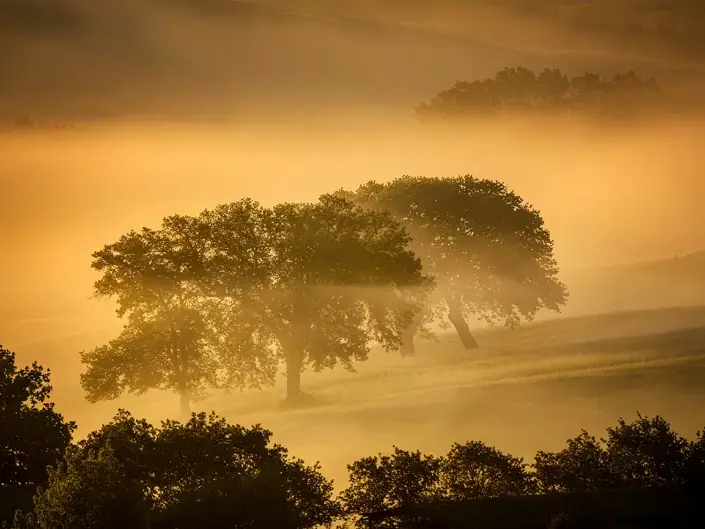 Landscape photography experience in Montalcino Tuscany